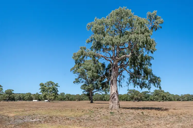 Fourth view of Homely land listing, 798 Dashwood Gully Road, Meadows SA 5201