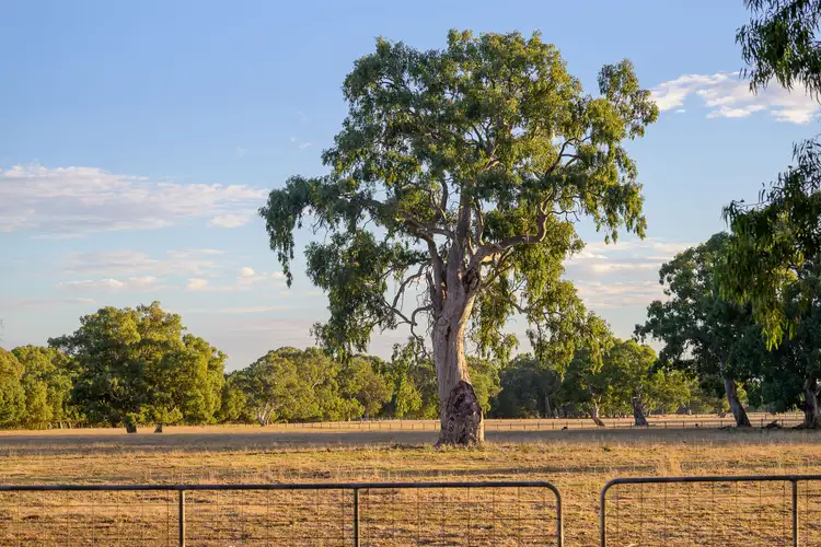 Fifth view of Homely land listing, 798 Dashwood Gully Road, Meadows SA 5201