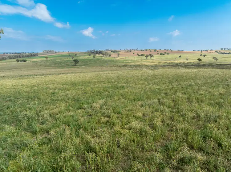 Fourth view of Homely rural property listing, "Highfield East" 170 Kurrajong Road, Cudal NSW 2864