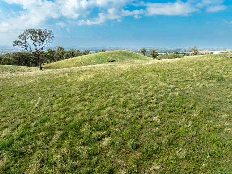 Sixth view of Homely rural property listing, "Highfield East" 170 Kurrajong Road, Cudal NSW 2864