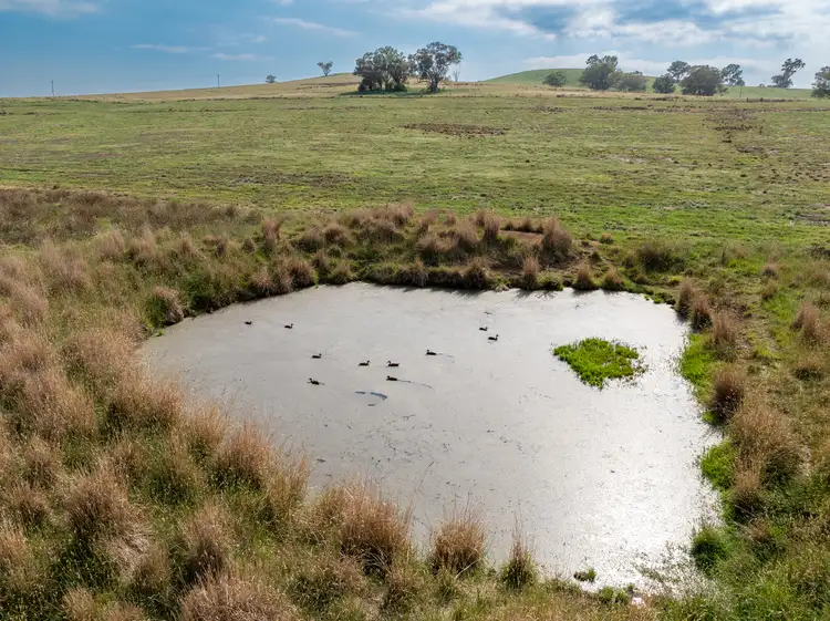 Seventh view of Homely rural property listing, "Highfield East" 170 Kurrajong Road, Cudal NSW 2864