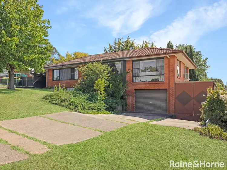 319 Rocket Street