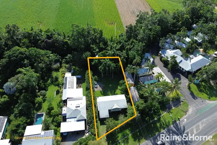 Third view of Homely house listing, 11 Alchera Drive, Mossman QLD 4873