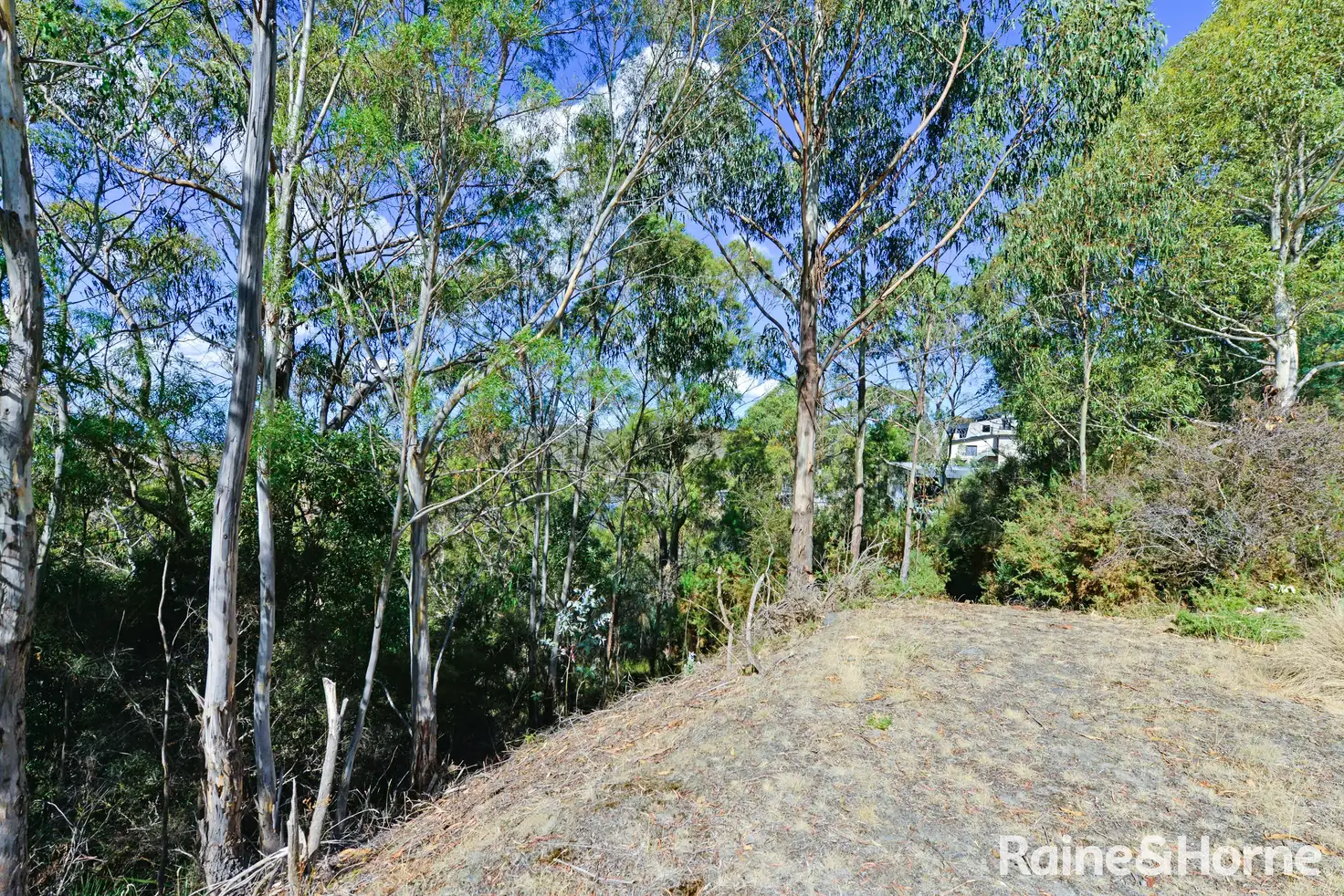 Main view of Homely land listing, 39 Woodcutters Road, Tolmans Hill TAS 7007
