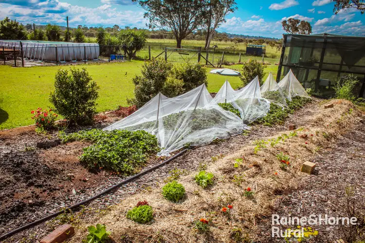 Sixth view of Homely rural property listing, 198 Old Dyraaba Road, Woodview NSW 2470