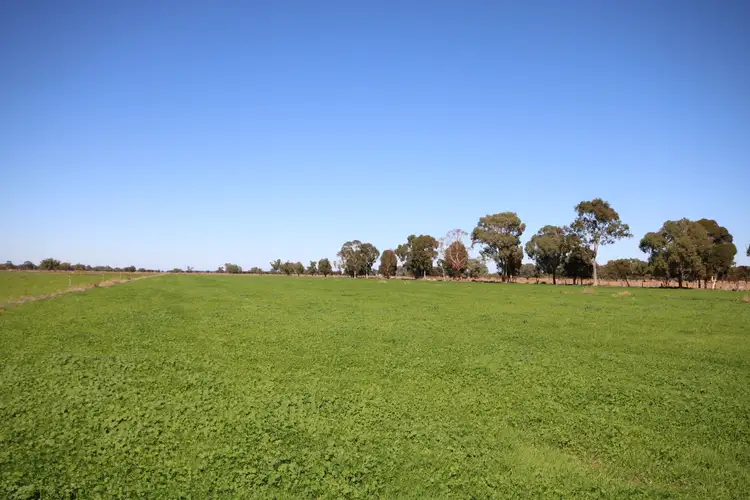 441 Johnson Road, Lockington VIC 3563
