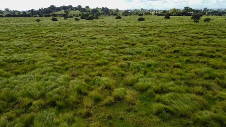 Third view of Homely rural property listing, 1775 Casino Coraki Road, Coraki NSW 2471