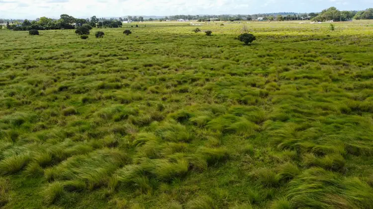 Fourth view of Homely rural property listing, 1775 Casino Coraki Road, Coraki NSW 2471