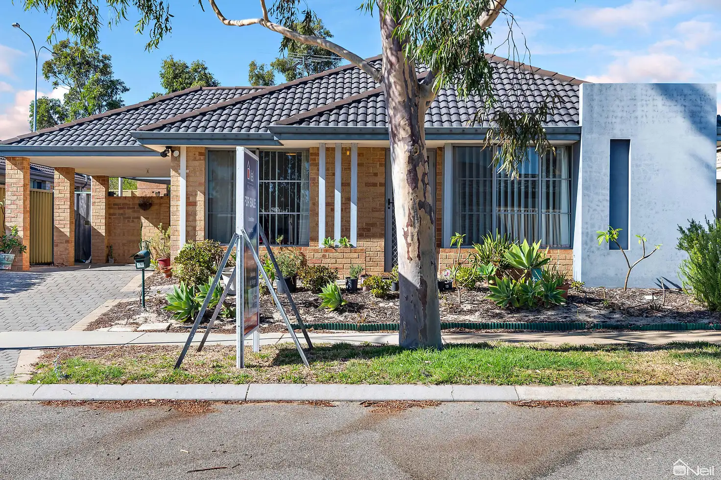 Main view of Homely house listing, 16 Peartree Terrace, Seville Grove WA 6112