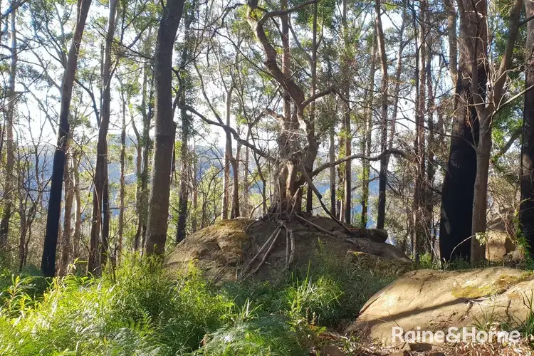 Fifth view of Homely land listing, Lot 1 Selbys Road, Budgong NSW 2577