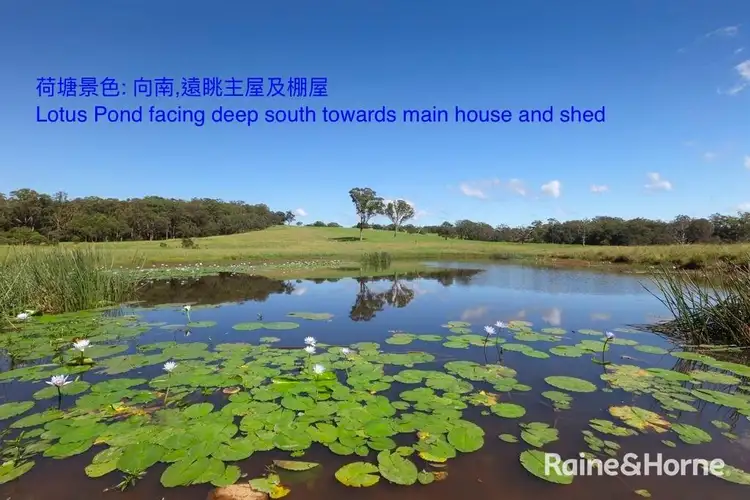 Sixth view of Homely rural property listing, 55 Wire Lane, Berry NSW 2535