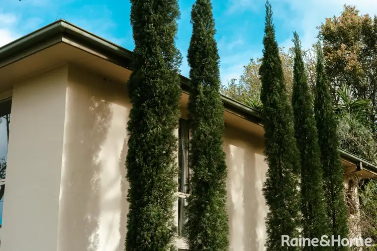 Sixth view of Homely rural property listing, 55 Wire Lane, Berry NSW 2535