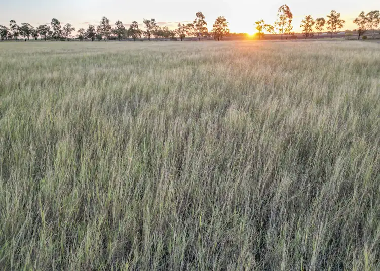 Fourth view of Homely rural property listing, 691 Blaxland Irvingdale Road, Blaxland QLD 4405