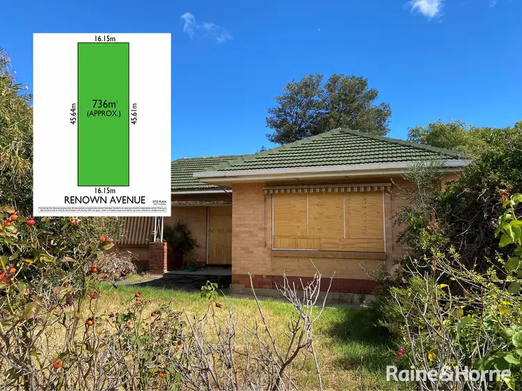 Main view of Homely house listing, 6 Renown Avenue, Clovelly Park SA 5042