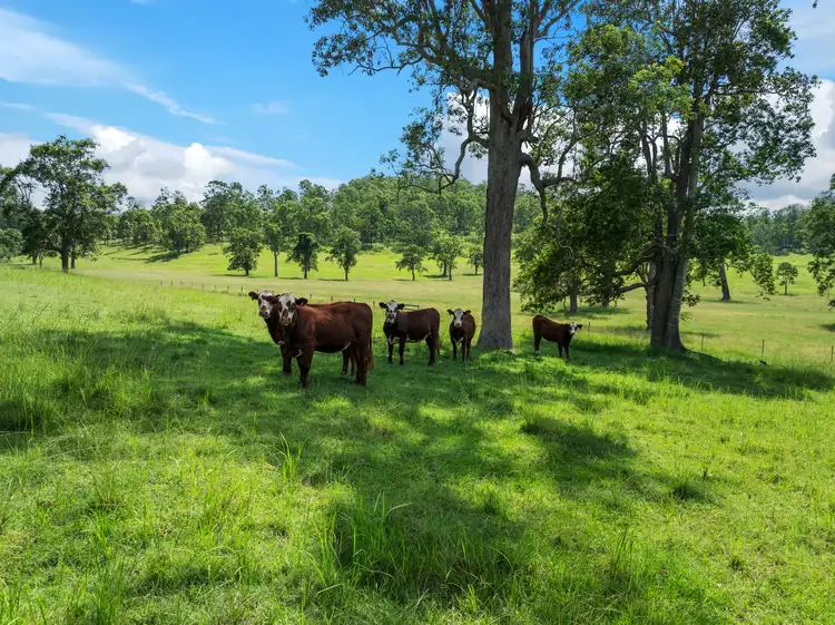 Second view of Homely rural property listing, 4680 Bruxner Highway, Piora NSW 2470