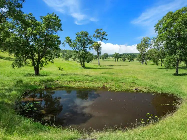 Third view of Homely rural property listing, 4680 Bruxner Highway, Piora NSW 2470