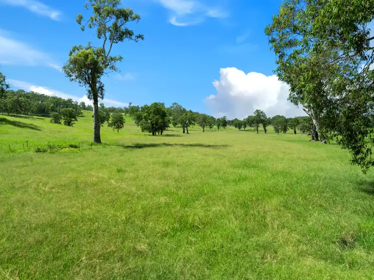 Seventh view of Homely rural property listing, 4680 Bruxner Highway, Piora NSW 2470