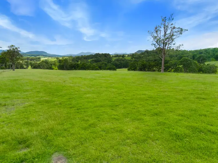 Fourth view of Homely rural property listing, 318 Urbenville road, Urbenville NSW 2475