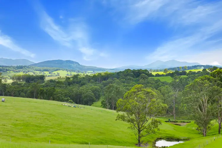 Fifth view of Homely rural property listing, 318 Urbenville road, Urbenville NSW 2475