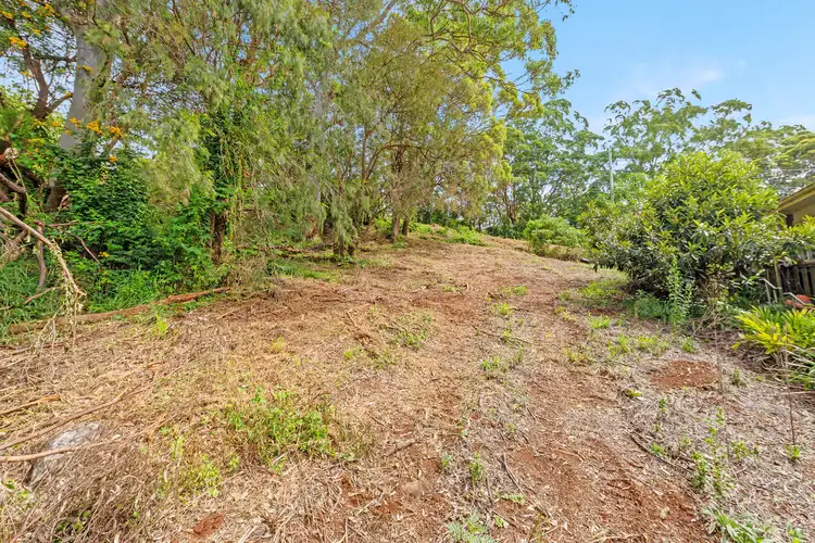 Third view of Homely land listing, 151 Guanaba Road, Tamborine Mountain QLD 4272