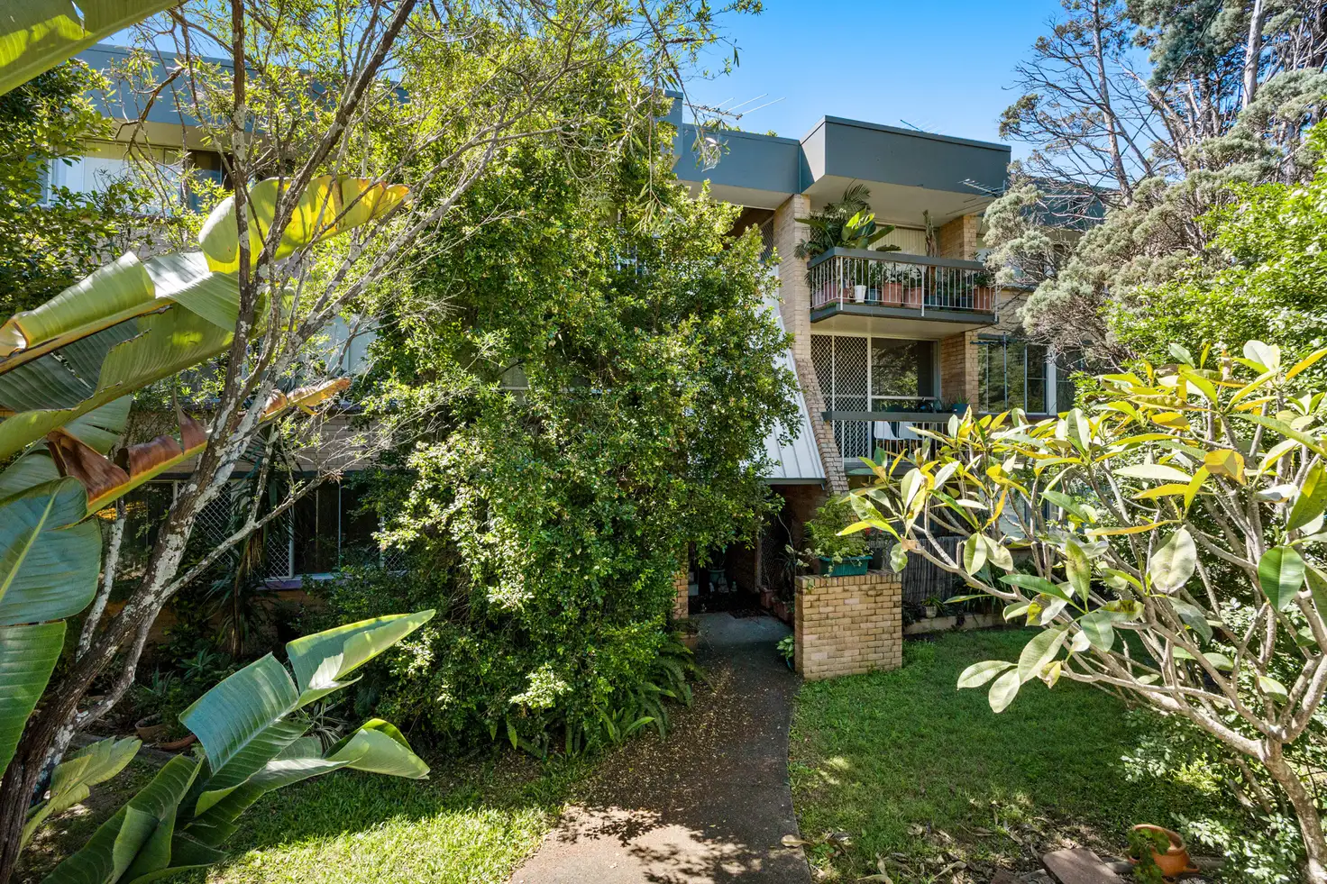 Main view of Homely unit listing, 1/446 Wynnum Road, Morningside QLD 4170