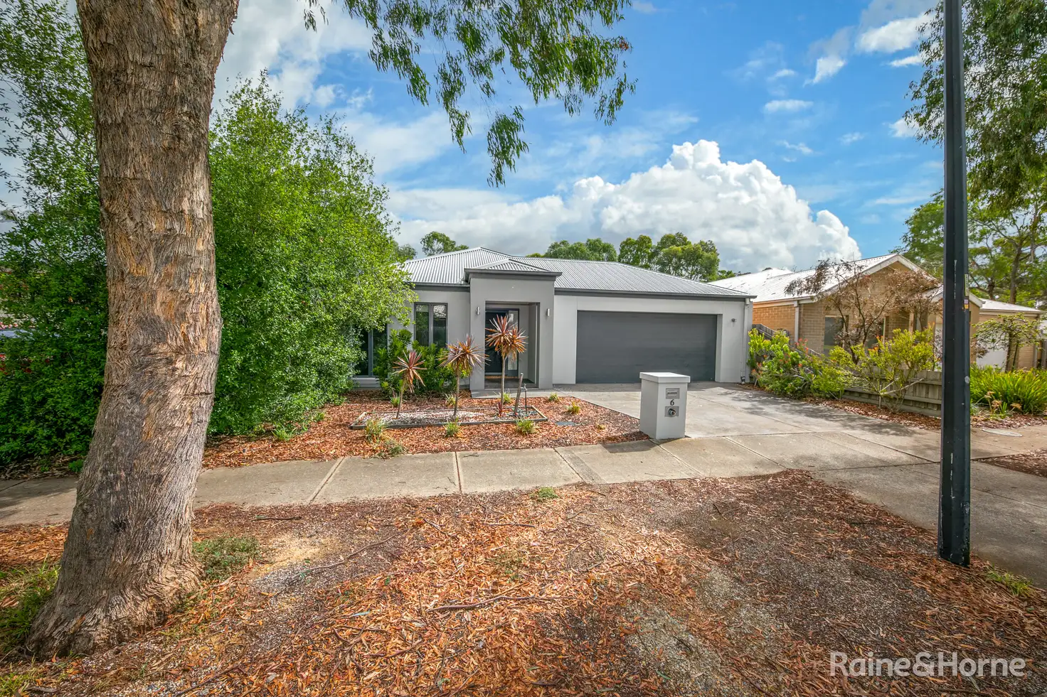 Main view of Homely house listing, 6 Sassafras Drive, Sunbury VIC 3429