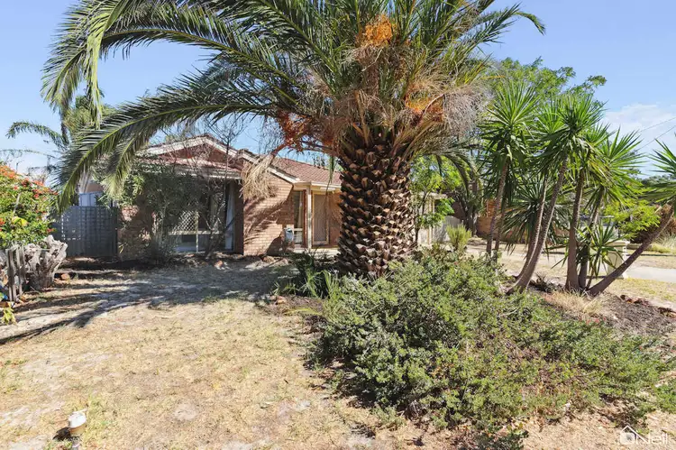 Second view of Homely house listing, 118 Strawberry Drive, Seville Grove WA 6112