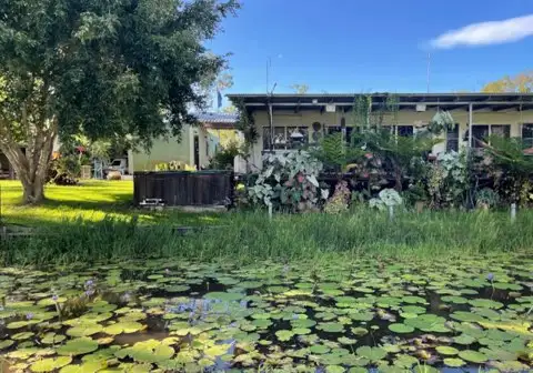 Second view of Homely rural property listing, 288F Old Coach Road, Majors Creek QLD 4816