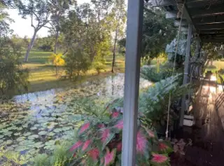 Third view of Homely rural property listing, 288F Old Coach Road, Majors Creek QLD 4816
