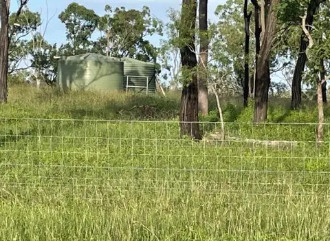 Sixth view of Homely rural property listing, 288F Old Coach Road, Majors Creek QLD 4816