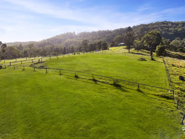 Fifth view of Homely rural property listing, 2295 Nerang Murwillumbah Road, Numinbah Valley QLD 4211