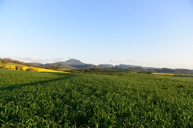 Sixth view of Homely rural property listing, "Couradda North" 2044 Melburra Rd, Edgeroi NSW 2390