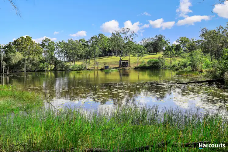 Seventh view of Homely rural property listing, 40 Hillandale Road,, South Bingera QLD 4670