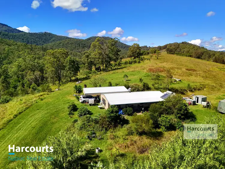 2992 Nowendoc Road, Caffreys Flat NSW 2424