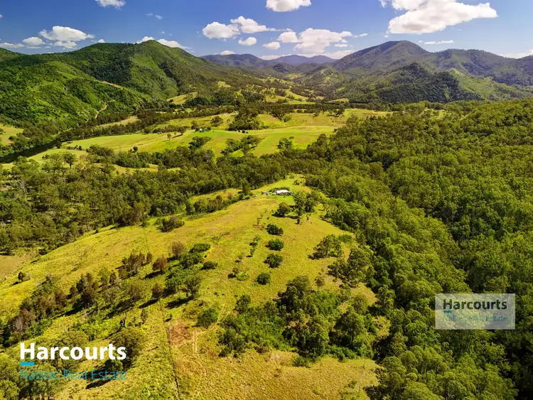 Second view of Homely rural property listing, 2992 Nowendoc Road, Caffreys Flat NSW 2424