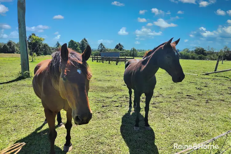 Fourth view of Homely house listing, 47 Crabbet Lane, Imbil QLD 4570