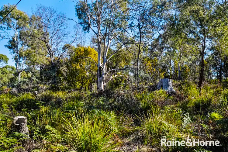 Seventh view of Homely land listing, 6 Baring Court, Triabunna TAS 7190