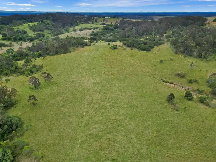 465 Ellangowan Myrtle Creek Road, Ellangowan NSW 2470