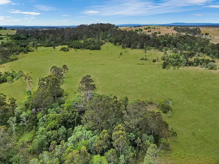 465 Ellangowan Myrtle Creek Road, Ellangowan NSW 2470