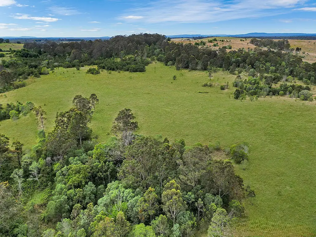 Main view of Homely rural property listing, 465 Ellangowan Myrtle Creek Road, Ellangowan NSW 2470