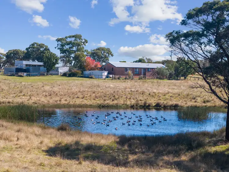Main view of Homely rural property listing, 420 Cullulla Rd, Tarago NSW 2580