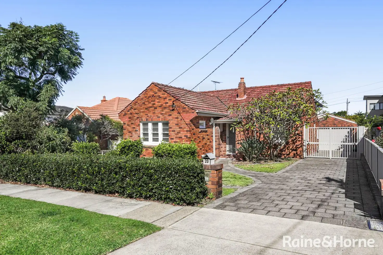 Main view of Homely house listing, 20 Peacock Street, Bardwell Park NSW 2207