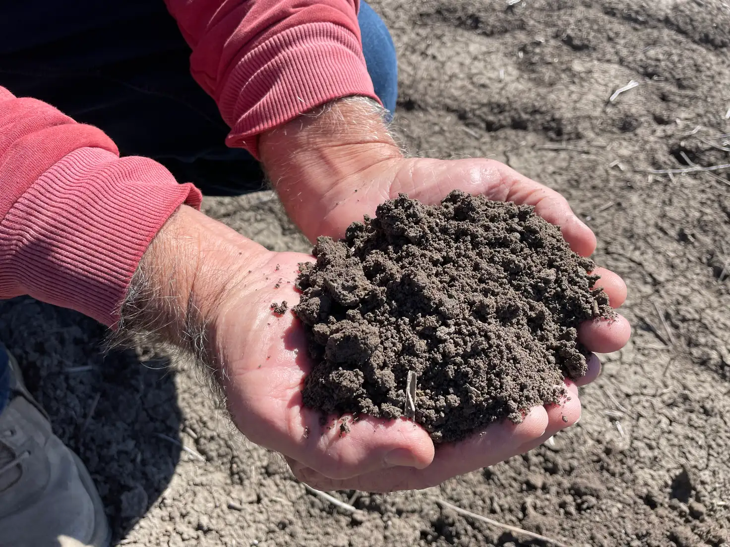 Main view of Homely rural property listing, "Wilgabar South" 464 Goangra Rd, Cryon NSW 2832