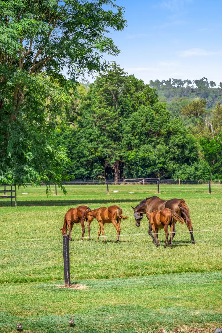 Fourth view of Homely house listing, 588 Innisplain Rd, Running Creek QLD 4287