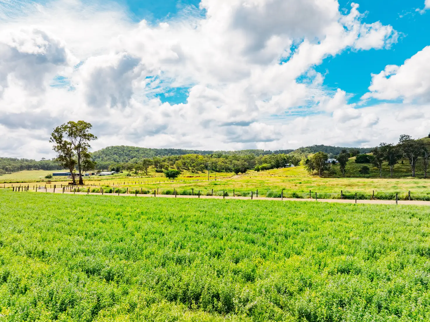 Main view of Homely house listing, 363 Running Creek Road, Running Creek QLD 4287