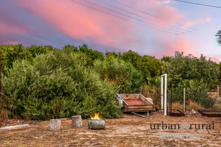 Fifth view of Homely house listing, 3877 Hunter Road, Nildottie SA 5238