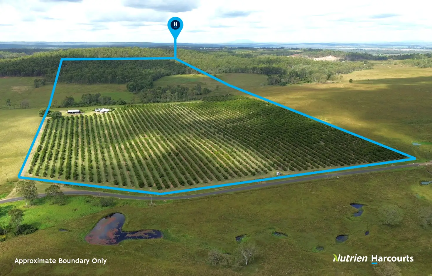 Main view of Homely rural property listing, 226 Sondergelds Road, Mcilwraith QLD 4671