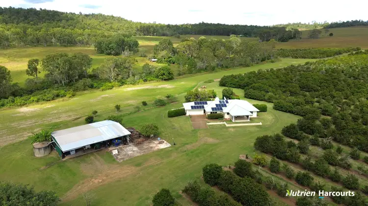 Third view of Homely rural property listing, 226 Sondergelds Road, Mcilwraith QLD 4671
