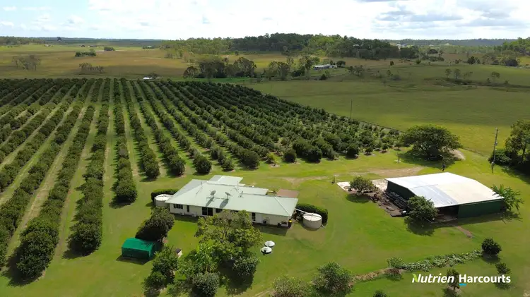Fourth view of Homely rural property listing, 226 Sondergelds Road, Mcilwraith QLD 4671