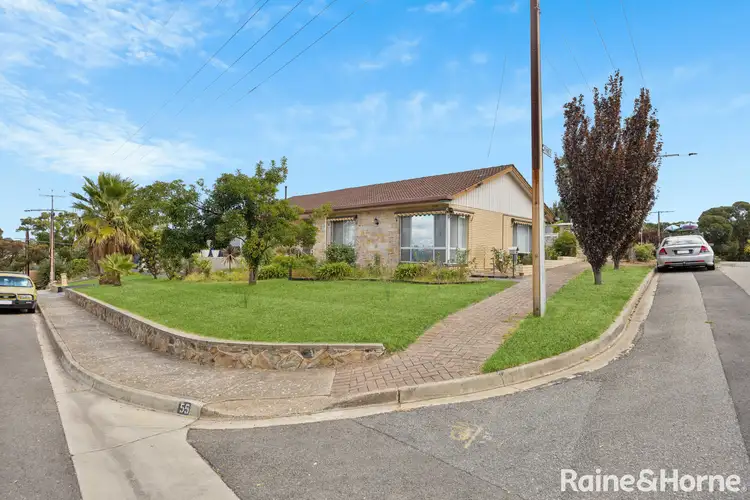 Main view of Homely house listing, 55 Teusner Drive, Morphett Vale SA 5162